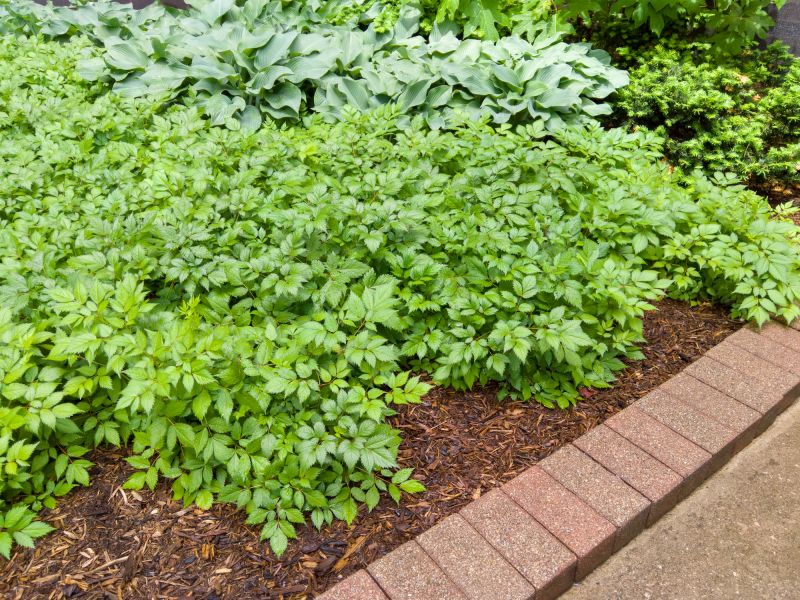 Brick Landscaping Installation in West Hartford, CT